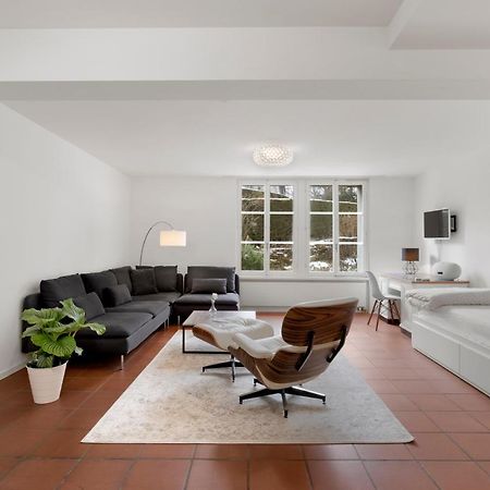 Cozy Boutique Apartment At Mt. Rigi Goldau Экстерьер фото