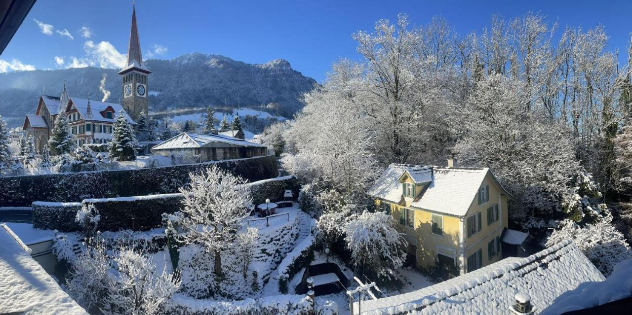 Cozy Boutique Apartment At Mt. Rigi Goldau Экстерьер фото