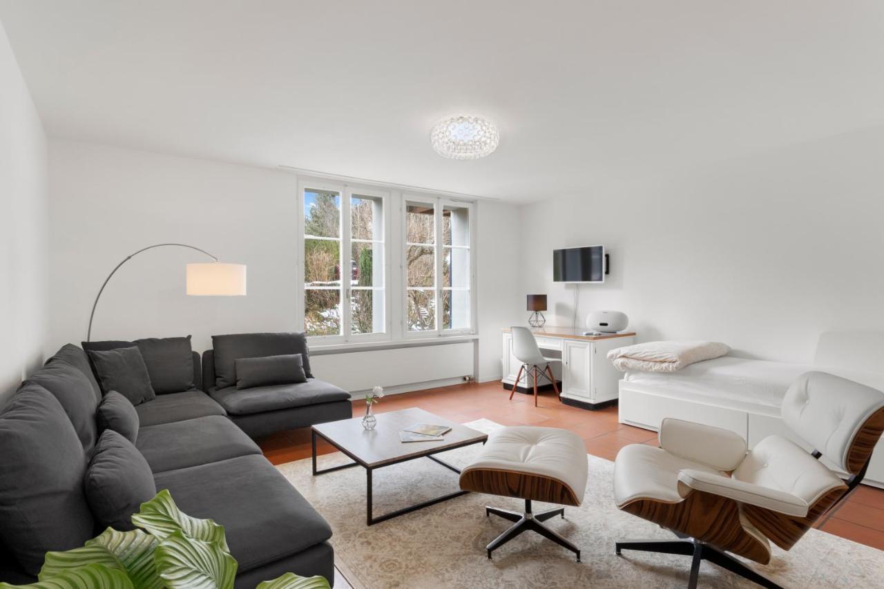Cozy Boutique Apartment At Mt. Rigi Goldau Экстерьер фото